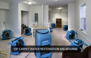 Carpet Water Restoration Melbourne