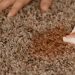 Easy Tips for Carpet Cleaning and Carpet Stain Removal