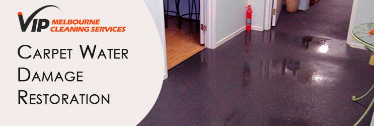 Carpet Water Damage Restoration