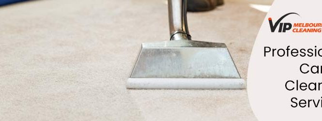 Professional Carpet Cleaning Service